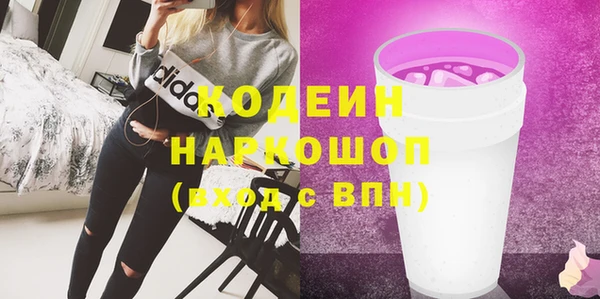 спиды Богородицк