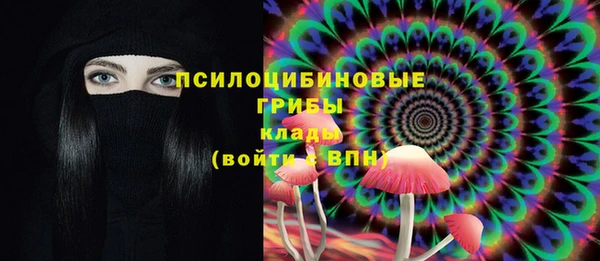 соль ск Богданович