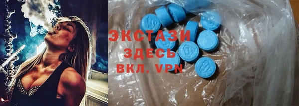 спиды Богородицк