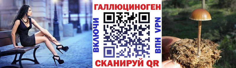 Купить  Туран  Псилоцибиновые грибы мухоморы 